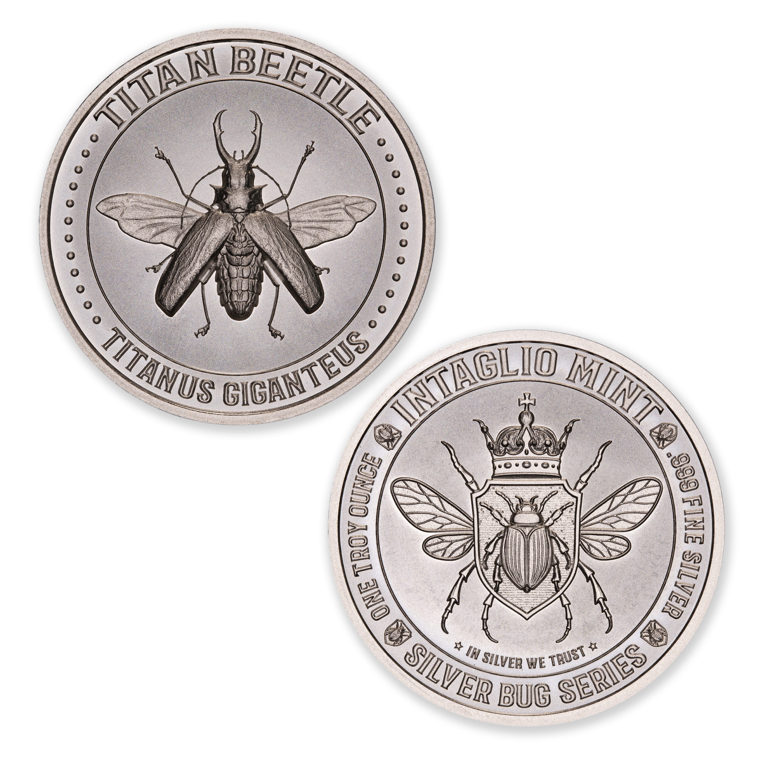 SILVER BUG SERIES -  TITAN BEETLE - 1 TROY OUNCE - 39MM - Image 1