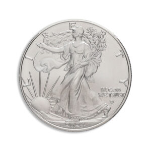 2024-W Burnished Silver Eagle with Box & COA