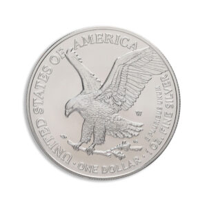 2024-W Burnished Silver Eagle with Box & COA - Image 2