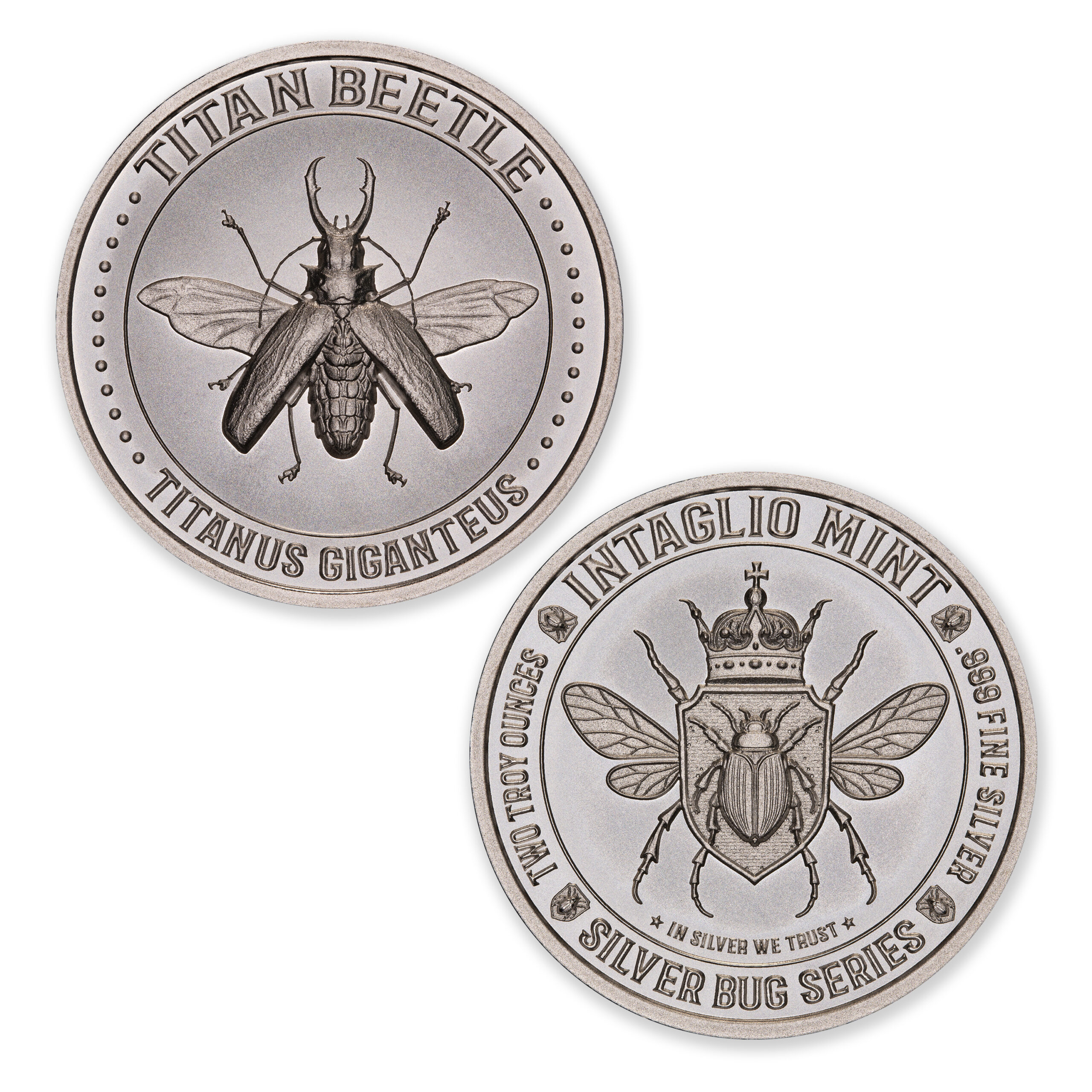 SILVER BUG SERIES -  TITAN BEETLE - 2 TROY OUNCE - 39MM - Image 1