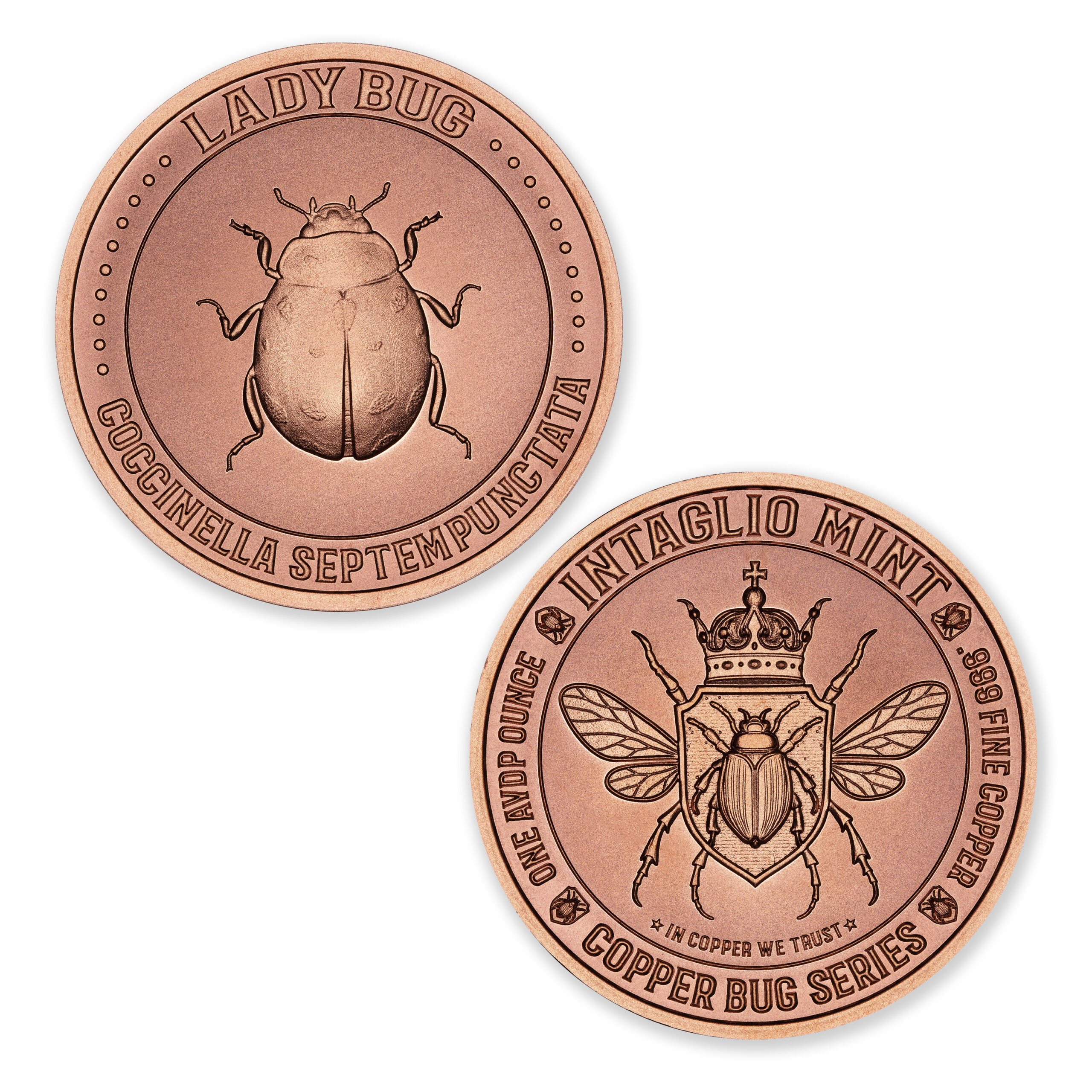 COPPER BUG SERIES - LADY BUG - 1OZ - 39MM - Image 1