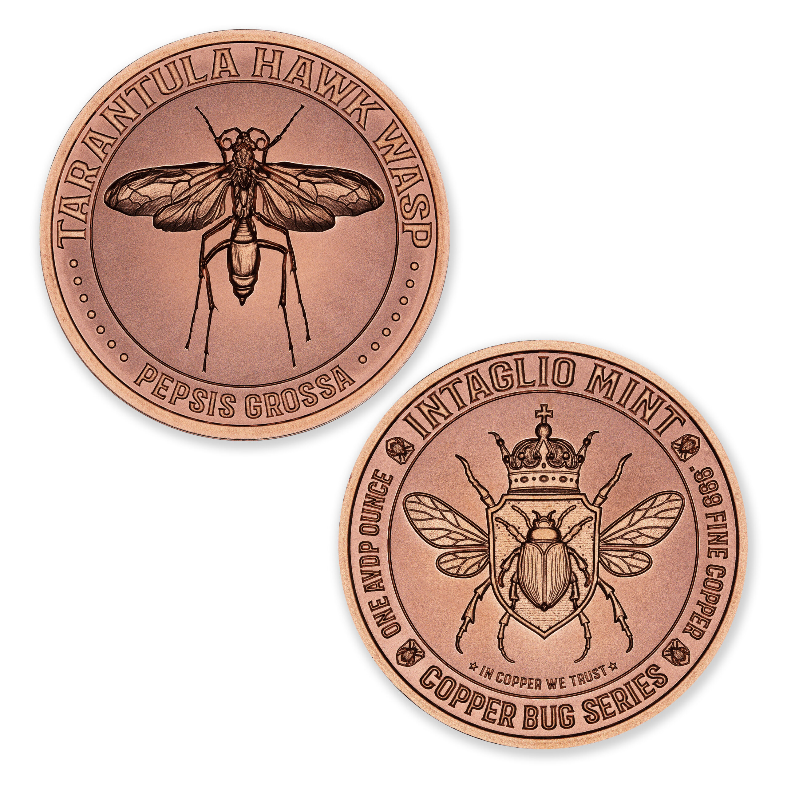 COPPER BUG SERIES - TARANTULA HAWK WASP - 1OZ - 39MM - Image 1