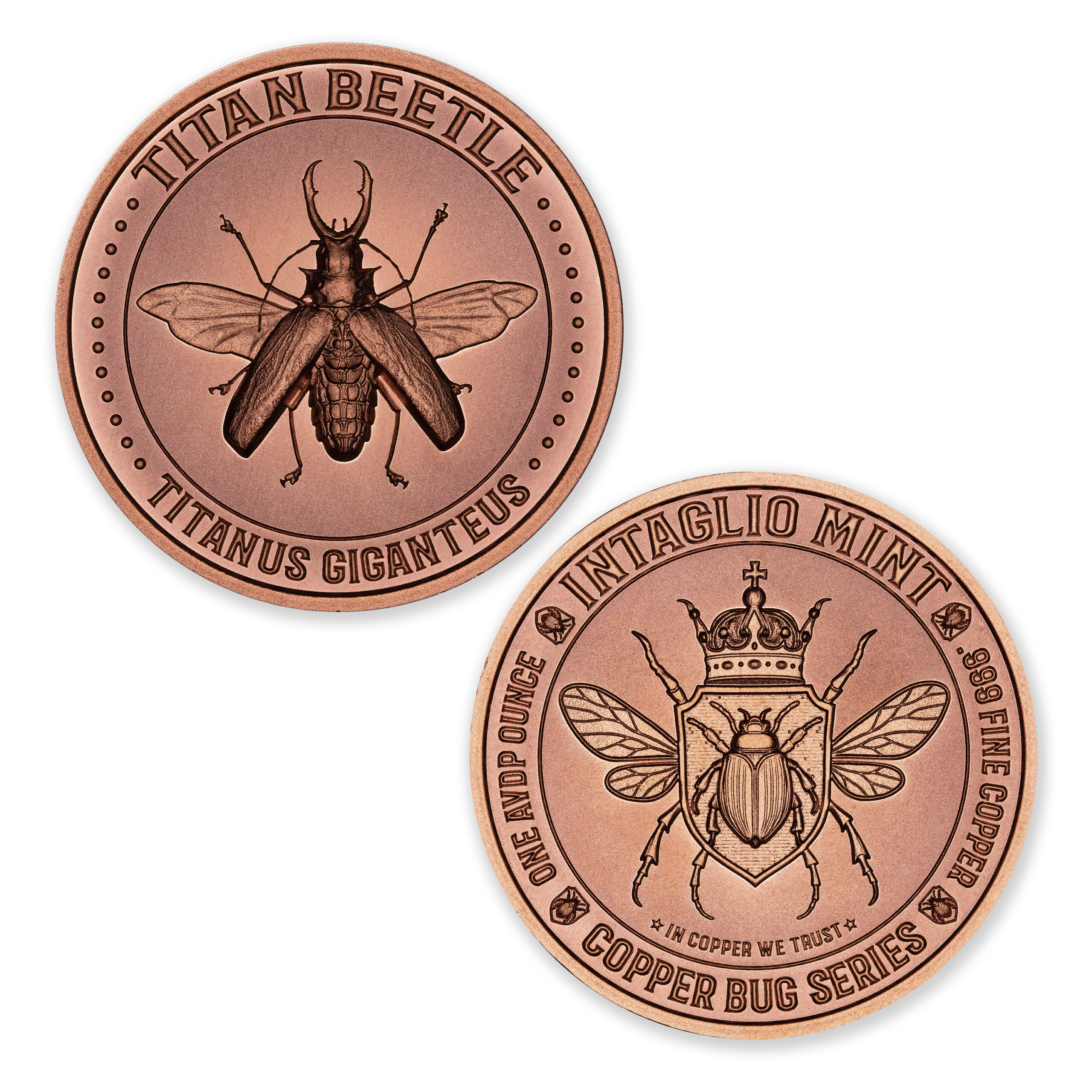 COPPER BUG SERIES - TITAN BEETLE - 1OZ - 39MM - Image 1